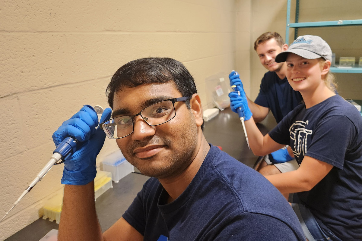 Dr. Sherri Bergsten conducted hands-on cancer research with Shippensburg University biology majors as part of the Summer Undergraduate Research (SURE) program.