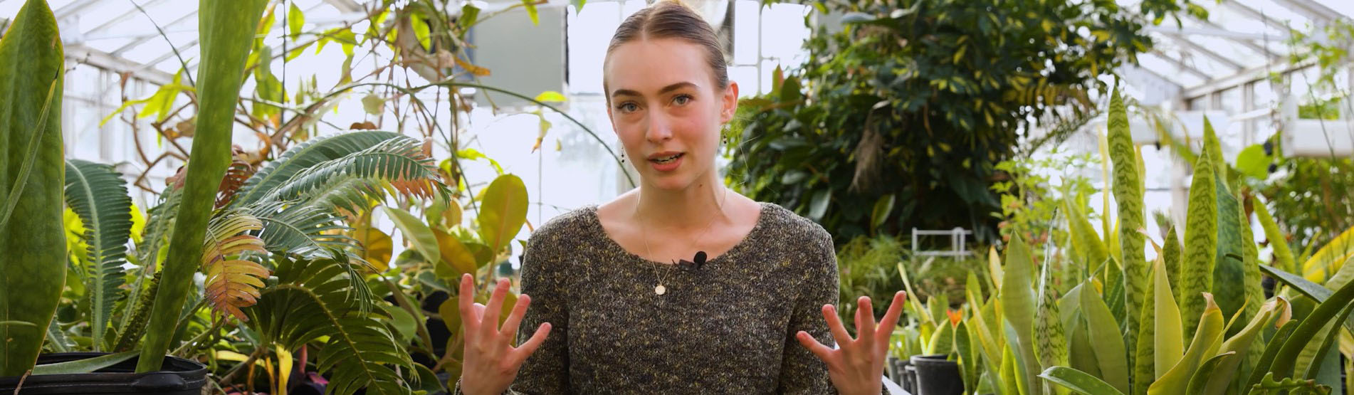 Junior Ava Esterly, a native of Pottstown, PA, is committed to a career in regenerative organic agriculture and wants to provide real holistic solutions in Pennsylvania.